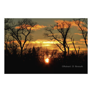 Kansas Tree Silhouettes Sunset Photo Poster. Print