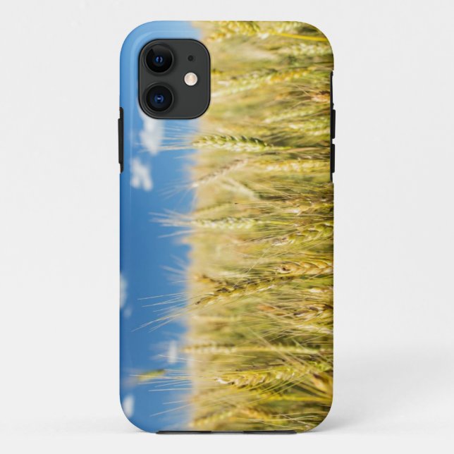 Kansas Wheat Case-Mate iPhone Case (Back)