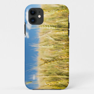 Kansas Wheat iPhone 11 Case
