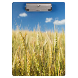Kansas Wheat Clipboard