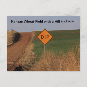Kansas Wheat Field with a hill and road Post Card! Postcard