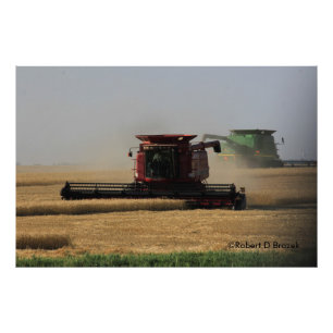 Kansas Wheat Harvest Photo Enlargement Print