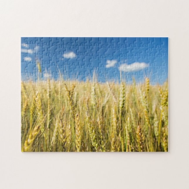 Kansas Wheat Jigsaw Puzzle (Horizontal)