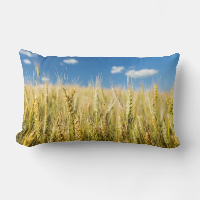 Kansas Wheat Lumbar Cushion (Front)