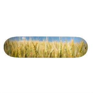 Kansas Wheat Skateboard