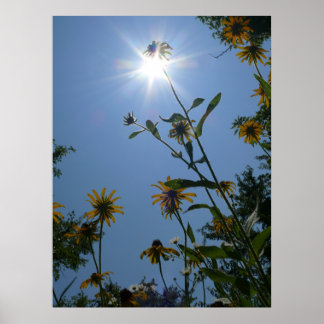 Kansas Wildflowers Poster