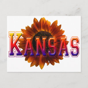 Kansas with Sunflower Postcard