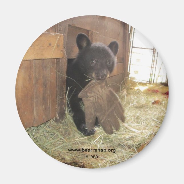 Kapalua with Glove - magnet (Front)