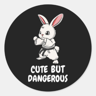 Karate Bunny Cute But Dangerous Funny Martial Arts Classic Round Sticker