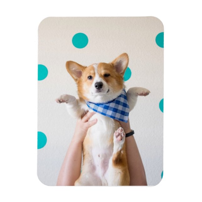 karate corgi magnet (Vertical)