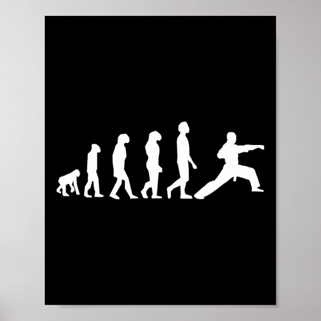 Karate Evolution  Poster (Front)
