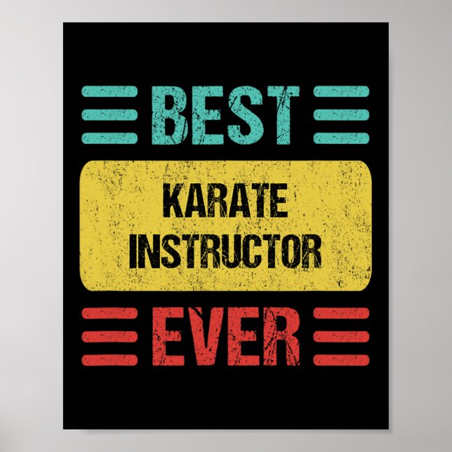 Karate Instructor 1  Poster (Front)