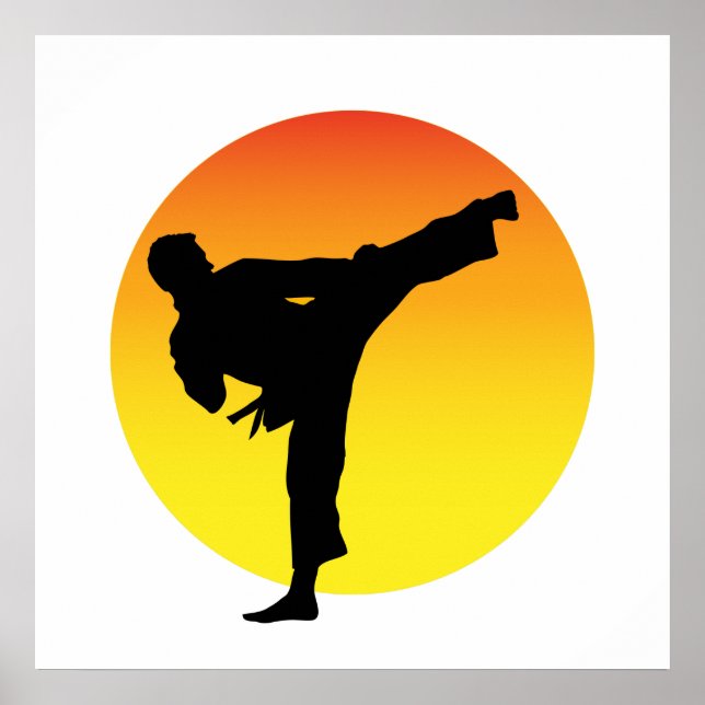 Karate Kick Silouette. Poster (Front)