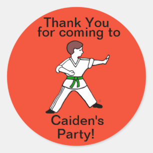 Karate Kid 11 customised Martial Arts stickers