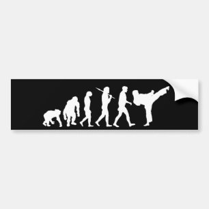 Karate lovers Dojo training gift Bumper Sticker