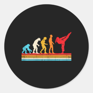 Karate Taekwondo Evolution Girl Ponytail Kick Wome Classic Round Sticker