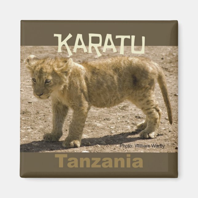 Karatu Tanzania Africa Fridge Magnet Lion Cub (Front)
