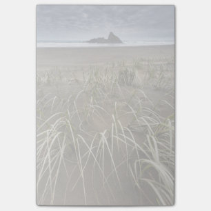 Karekare Beach Panatahi Island, West Coast Post-it Notes