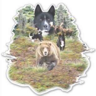 Karelian Bear Dog    