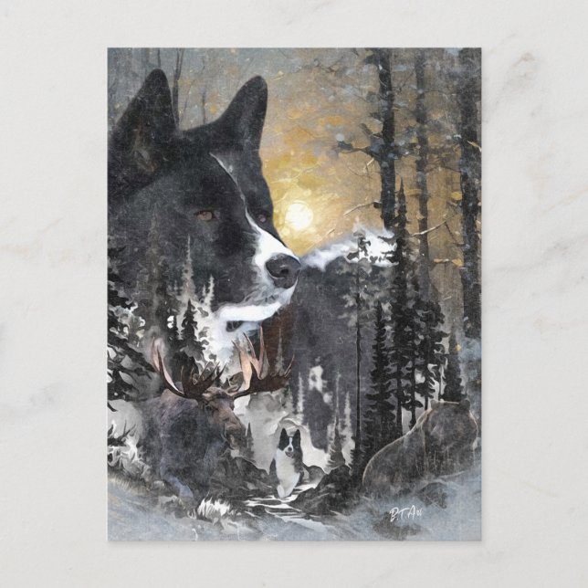 Karelian Bear Dog  Holiday Postcard (Front)