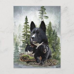 Karelian Bear Dog Postcard