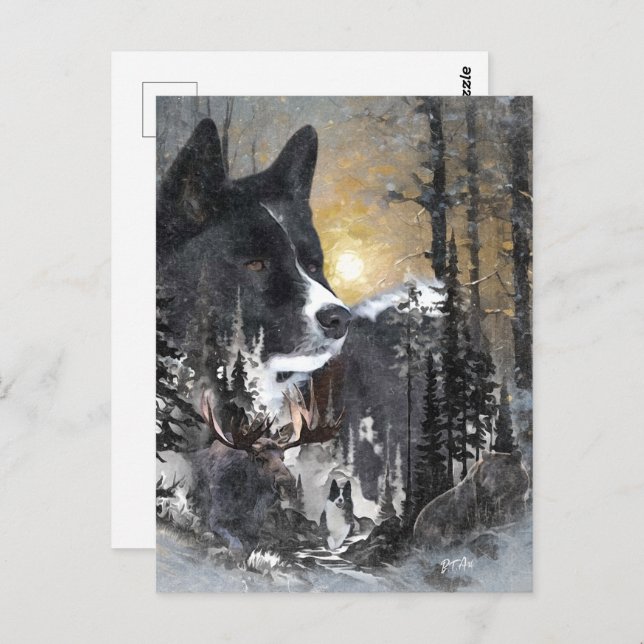 Karelian Bear Dog  Postcard (Front/Back)