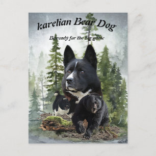 Karelian Bear Dog     Postcard