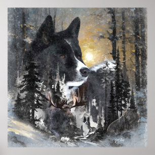 Karelian Bear Dog  Poster