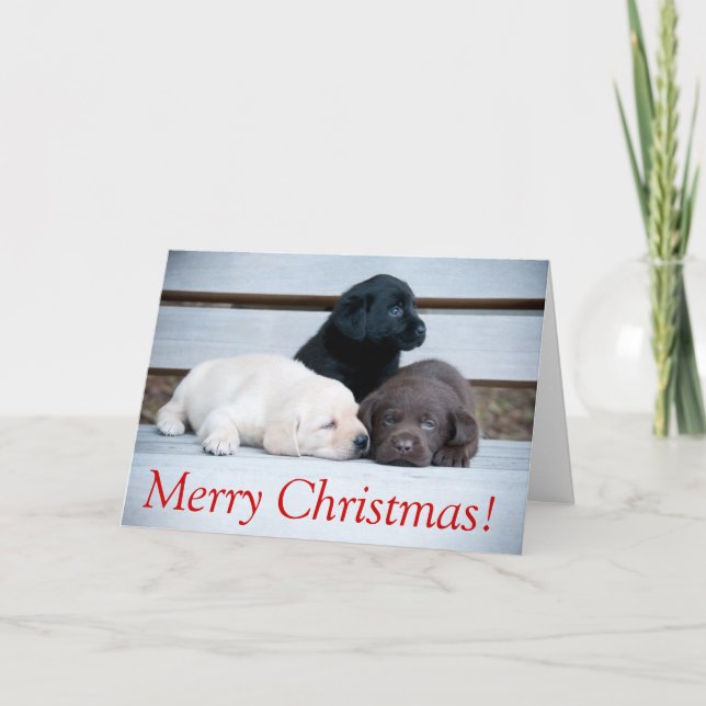 Karemy Puppy Christmas Card (Front)
