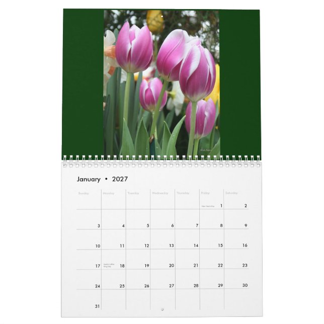 Karen's Calendar!  2011 Calendar (Jan 2027)