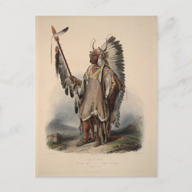Karl Bodmer - A Mandan chief Postcard (Front)