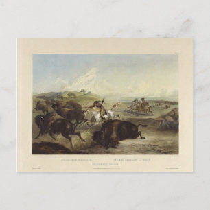 Karl Bodmer- Indians hunting the bison Postcard