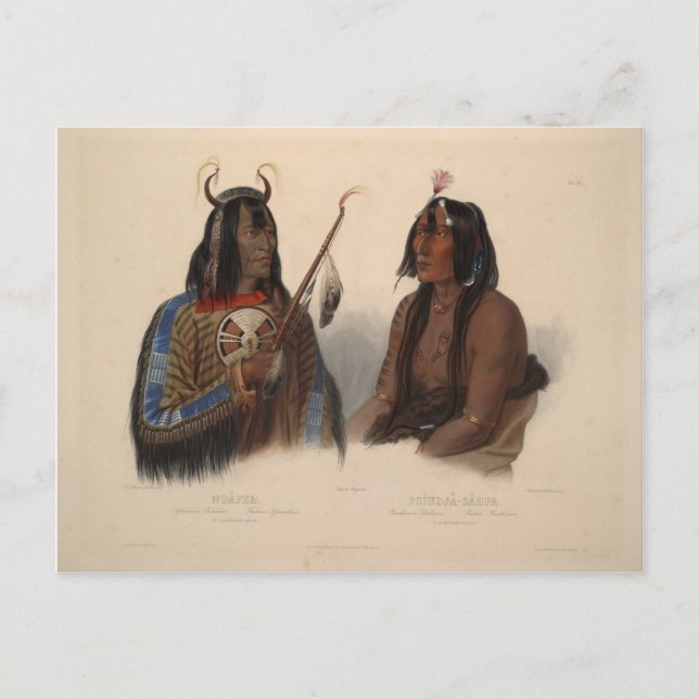 Karl Bodmer-Noapeh,Assiniboin Indian,Psihdja-Sahpa Postcard (Front)
