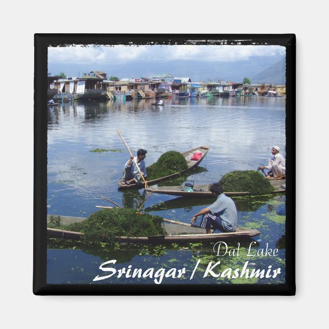 Kashmir, Srinagar - Shikara boats (Magnet) Magnet (Front)