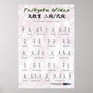 Kata Taikyoku Nidan - 2nd kata Poster