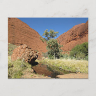 kata tjuta tree postcard