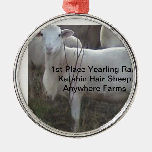 Katahin Hair Sheep Metal Ornament (Front)