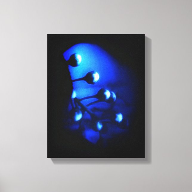Kate Canvas Print (Front)