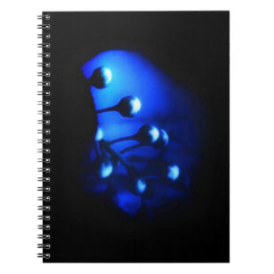 Kate Notebook