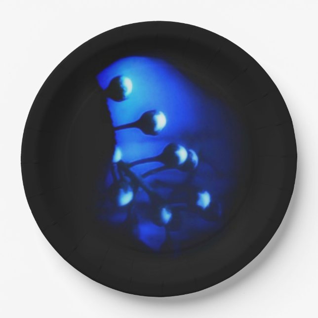 Kate Paper Plate (Front)