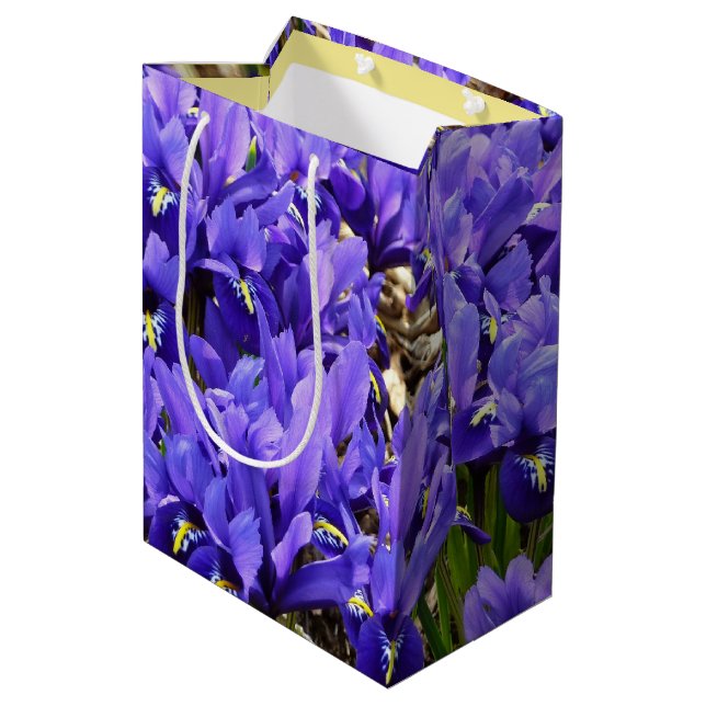 Katherine Hodgkin Irises Purple Spring Floral Medium Gift Bag (Back Angled)