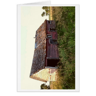 Kathleen Taylor's Barn Cartoon