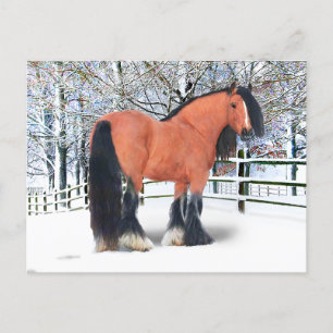 "Katie Scarlett"  Postcard