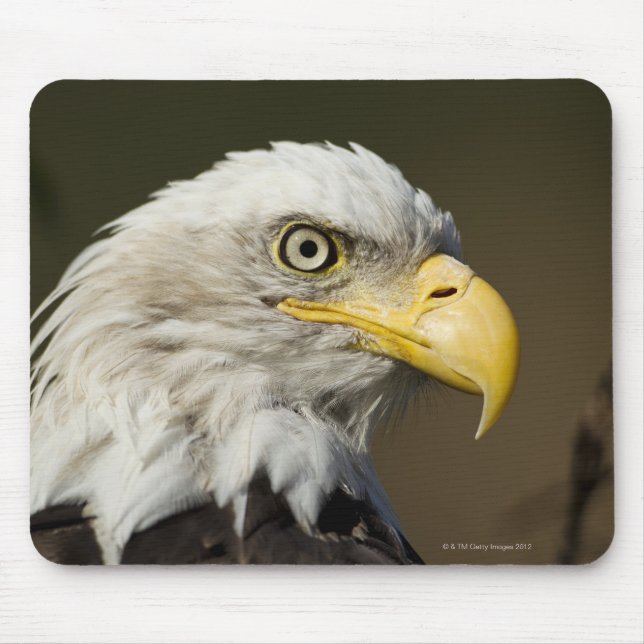 Katmai National Park, Alaska Mouse Pad (Front)