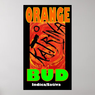 KATRINA ORANGE BUD POSTER