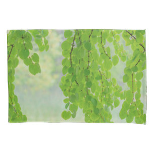Katsura Tree Limbs in Springtime   Seabeck, WA Pillowcase