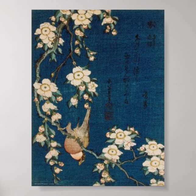 Katsushika Hokusai 葛飾 北斎 Goldfinch and Cherry Tree Poster (Front)