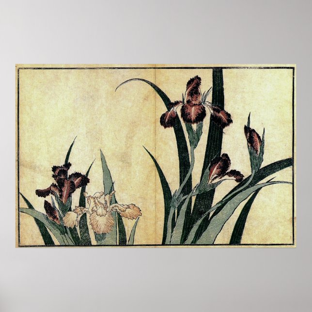 Katsushika Hokusai's Irises Poster (Front)