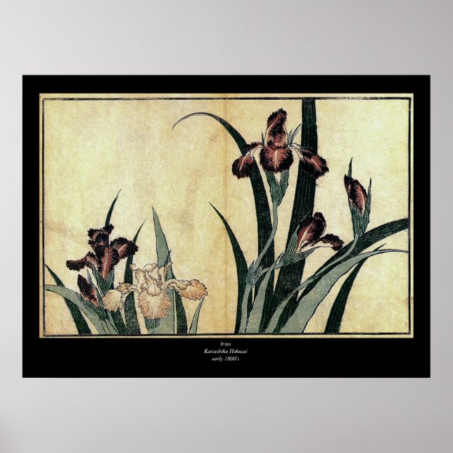 Katsushika Hokusai's Irises Poster (Front)