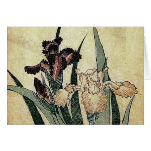 Katsushika Hokusai's Ukiyo-e Woodcut Print: Irises